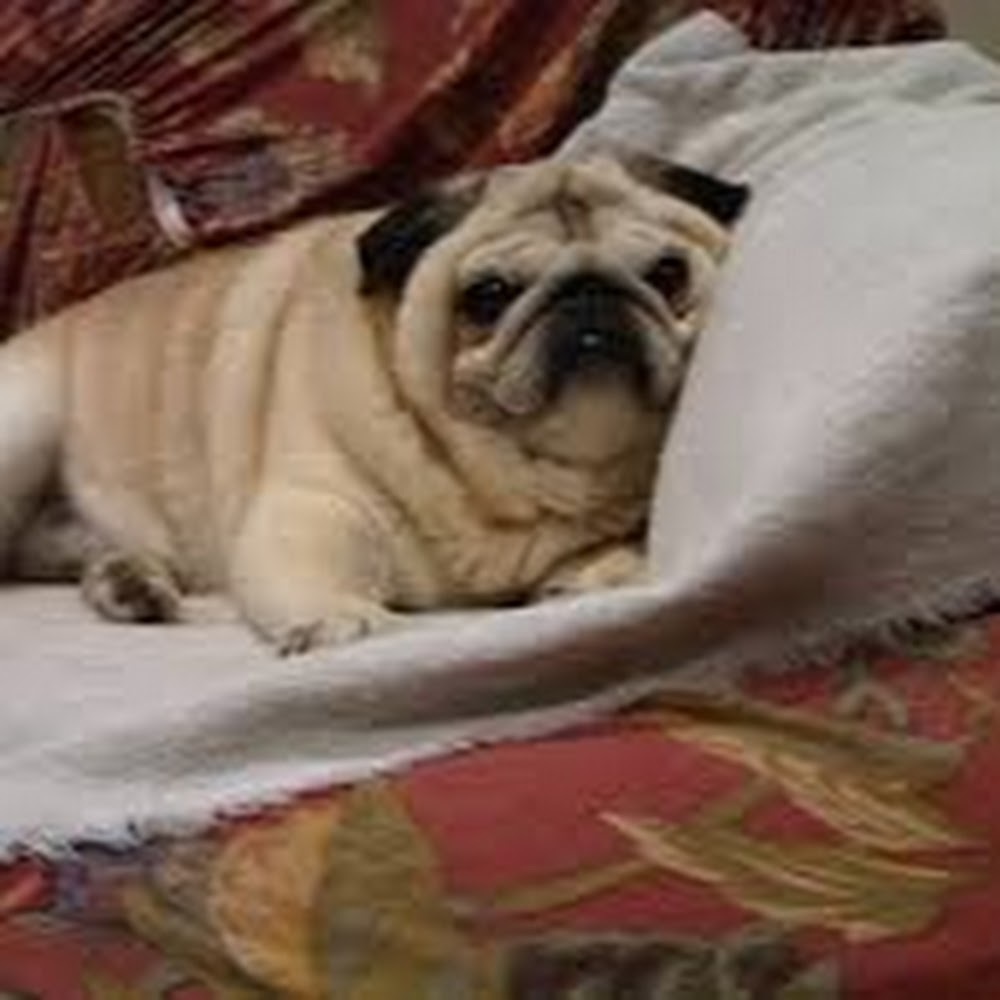 Meet your Posher, Krystle